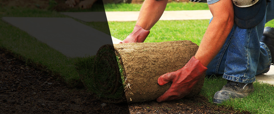 Pocopson Landscapers